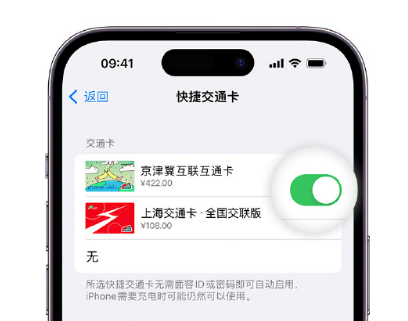 阎良apple维修点分享iPhone上更换Apple Pay快捷交通卡手绘卡面 