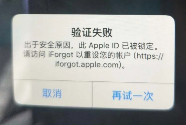 阎良iPhone维修分享iPhone上正常登录或使用AppleID怎么办 