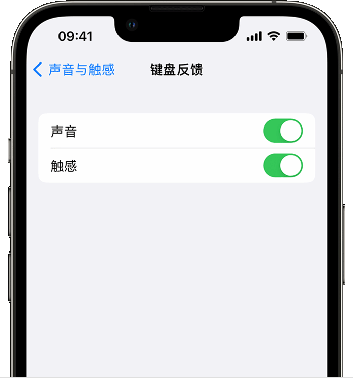 阎良苹果14维修店分享如何在 iPhone 14 机型中使用触感键盘 