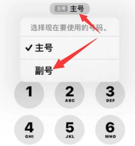 阎良苹果14维修店分享iPhone 14 Pro Max使用副卡打电话的方法 