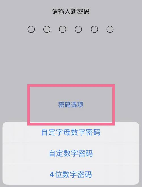 阎良苹果14维修分享iPhone 14plus设置密码的方法 