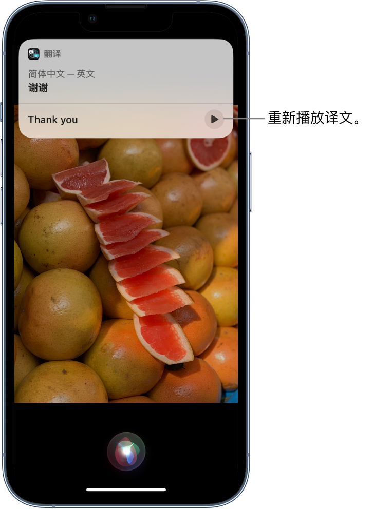 阎良苹果14维修分享 iPhone 14 机型中使用 Siri：了解 Siri 能帮你做什么 