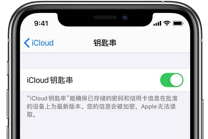 阎良苹果手机维修分享在 iPhone 上开启 iCloud 钥匙串之后会储存哪些信息 