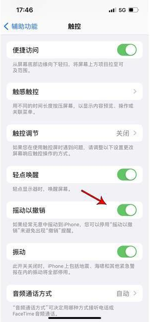 阎良苹果手机维修分享iPhone手机如何设置摇一摇删除文字 